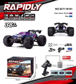 Remote control car SCY-16101