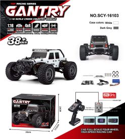 Remote control car SCY-16103
