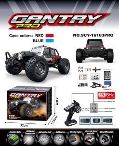 Remote control car SCY-16103PRO